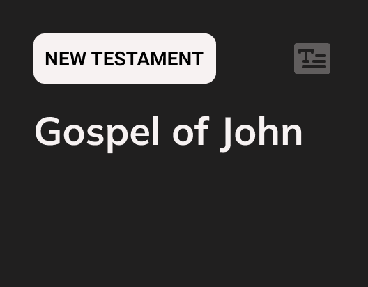 Gospel of John PDF